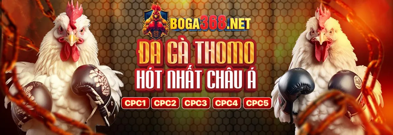 Nền tảng fcb88 win với cá cược thể thao và sòng bạc trực tuyến